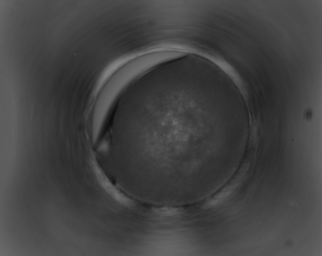 X0000091500862200708301956