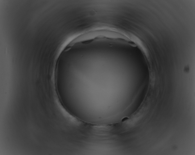 X0000091500863200708301956