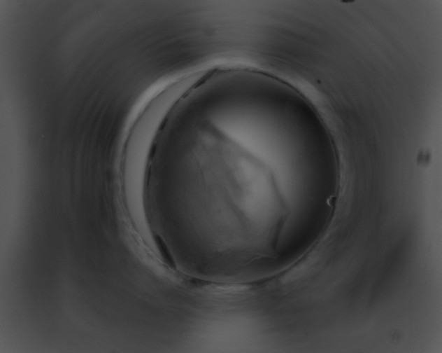 X0000091500864200708301956