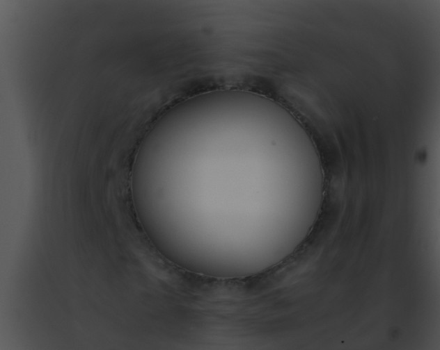 X0000091500865200708301956