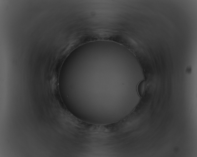 X0000091500866200708301956