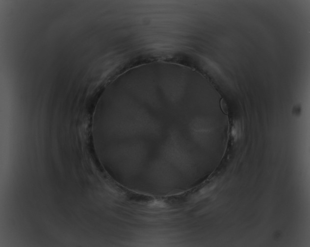 X0000091500867200708301956