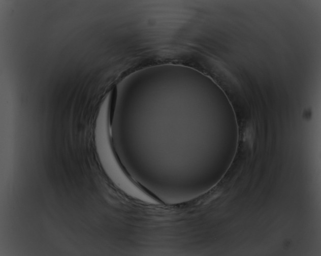 X0000091500868200708301956