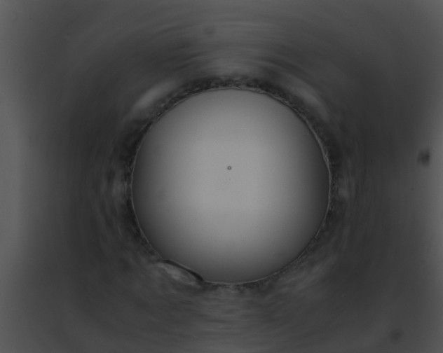 X0000091500869200708301956