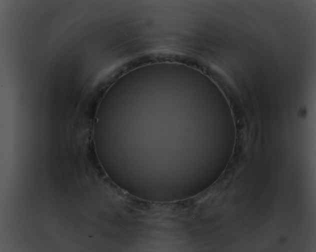 X0000091500870200708301956