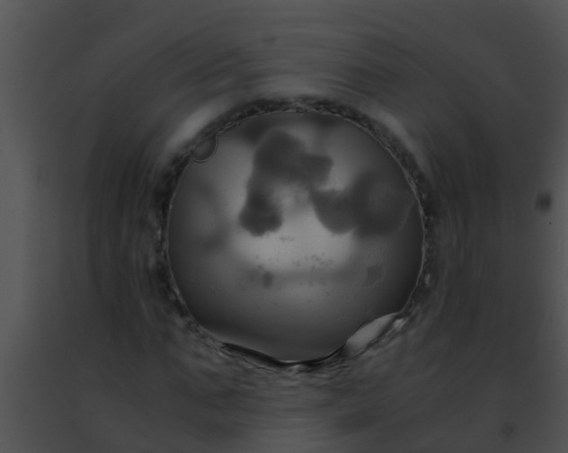 X0000091500871200708301956