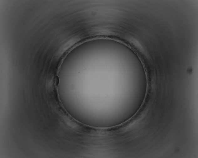 X0000091500873200708301956