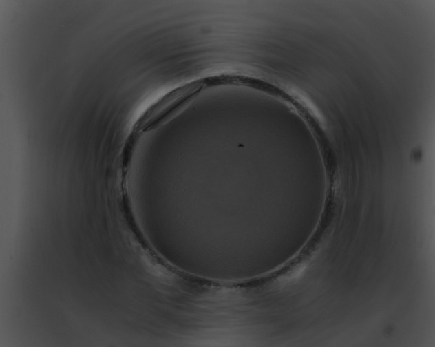 X0000091500877200708301956