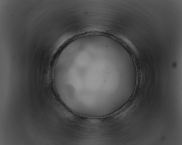 X0000091500878200708301956