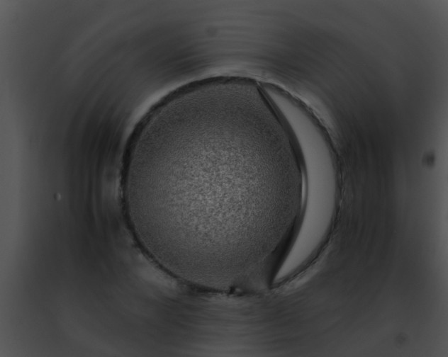 X0000091500880200708301955