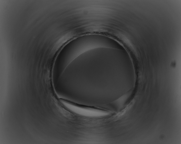 X0000091500881200708301955