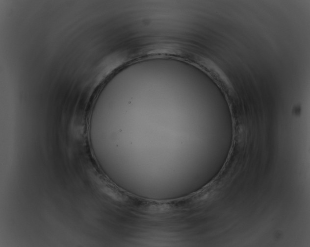 X0000091500882200708301955