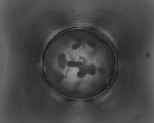 X0000091500883200708301955