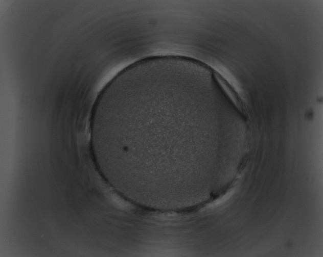 X0000091500885200708301955