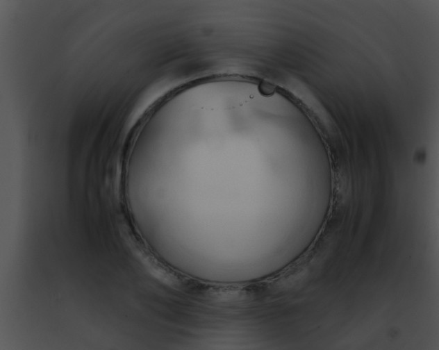 X0000091500886200708301955