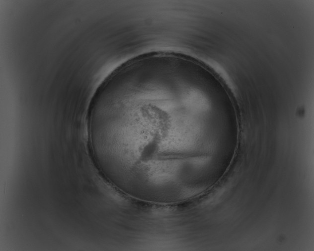 X0000091500887200708301955