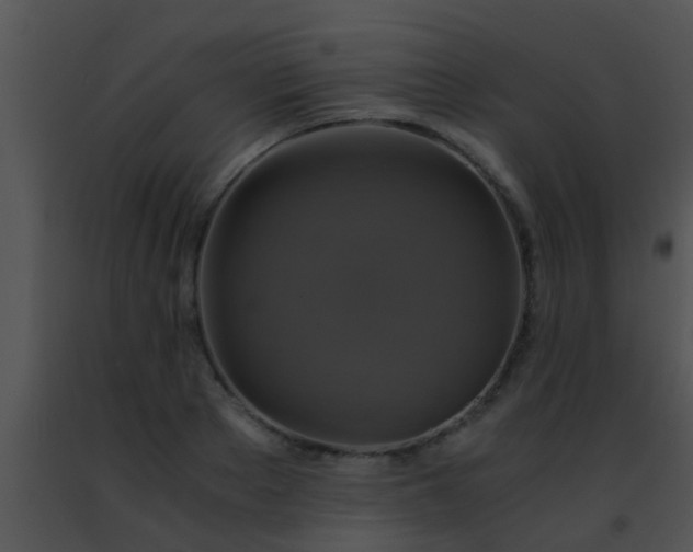 X0000091500889200708301955