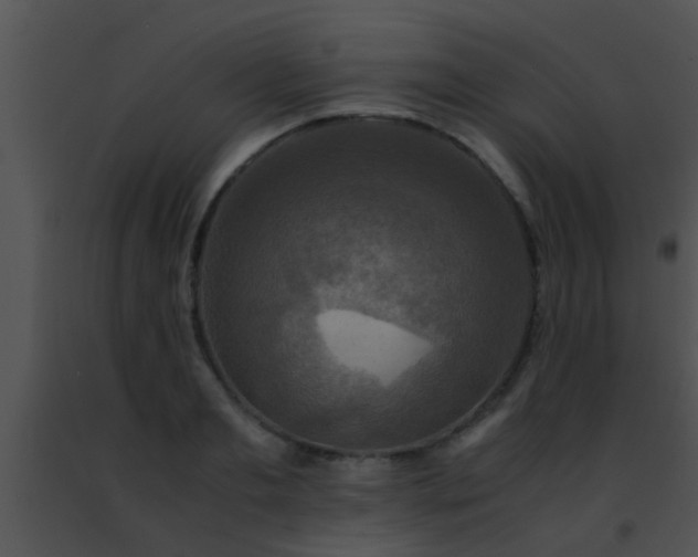 X0000091500893200708301955