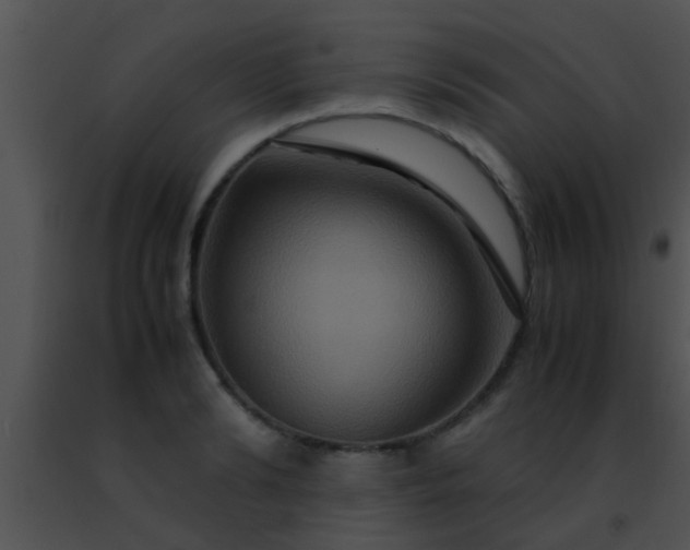 X0000091500894200708301955