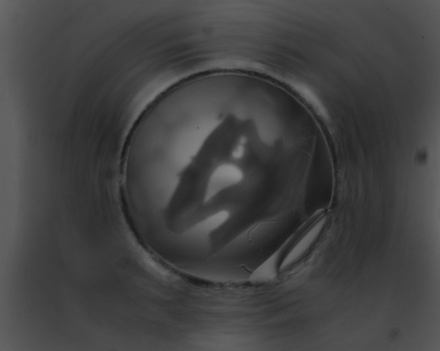 X0000091500895200708301955