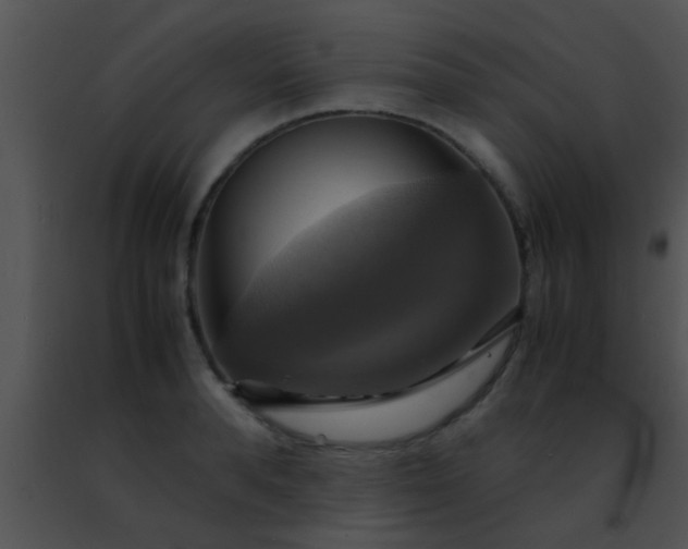 X0000091500896200708301955