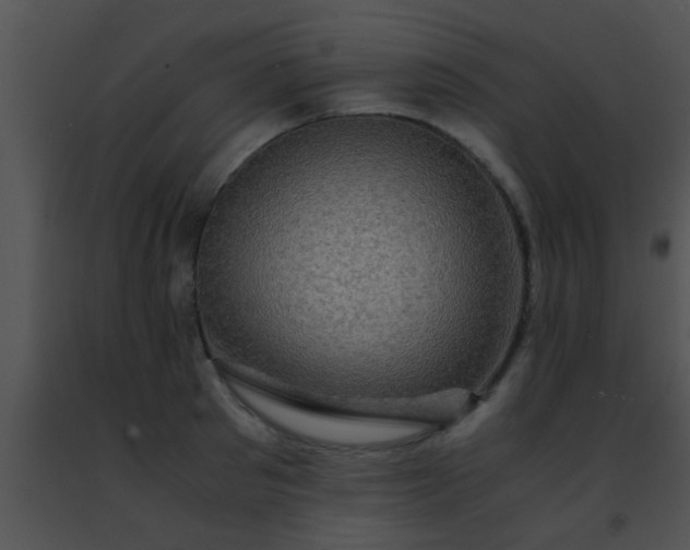 X0000091500897200708301955