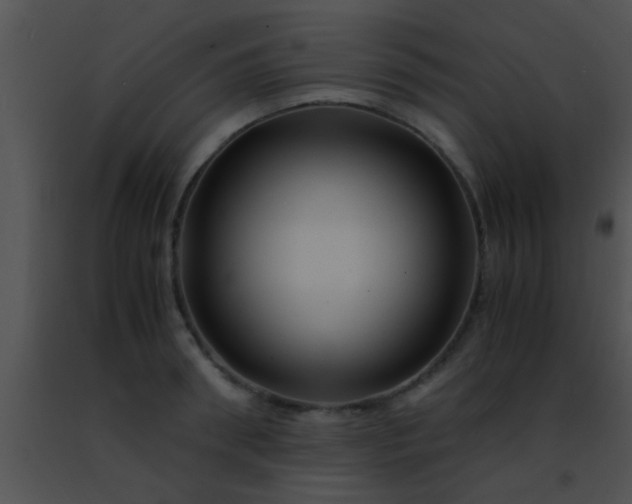 X0000091500898200708301955