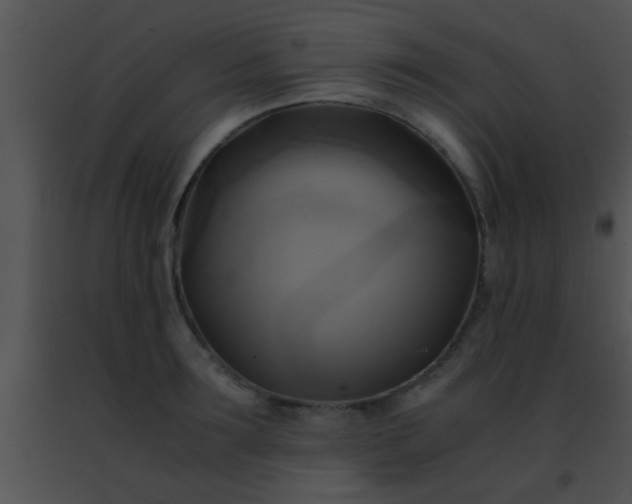 X0000091500899200708301955