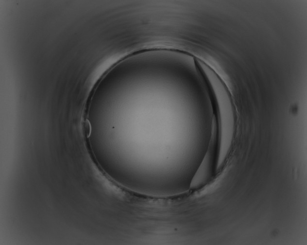 X0000091500901200708301955