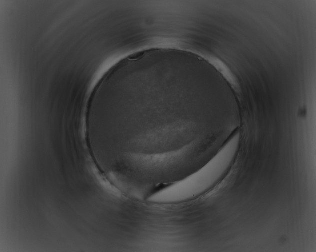 X0000091500904200708301955