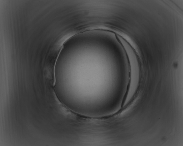 X0000091500905200708301955