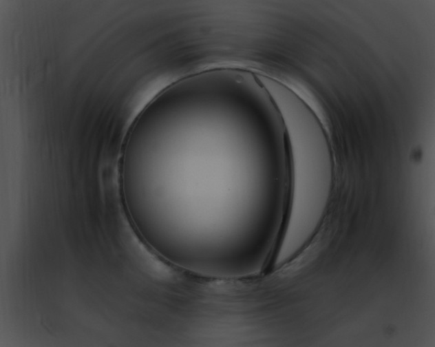 X0000091500906200708301955