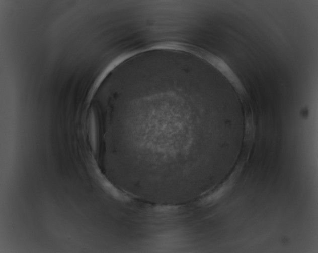 X0000091500908200708301955