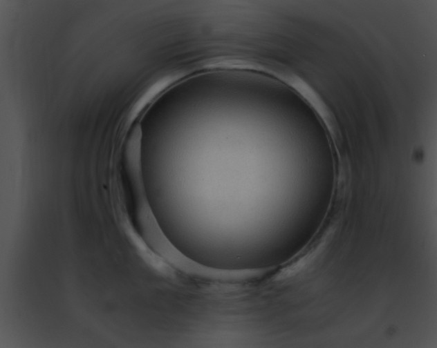 X0000091500909200708301955