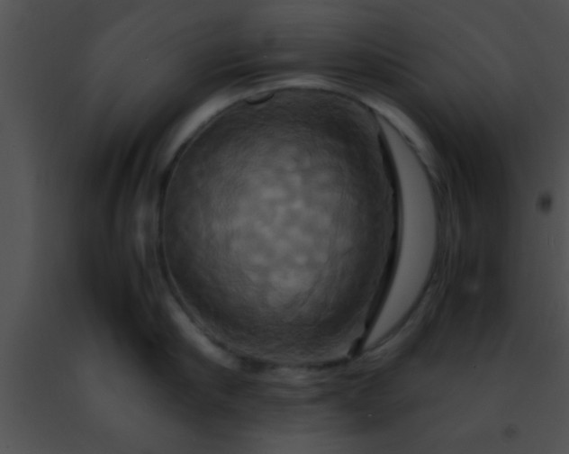 X0000091500910200708301955