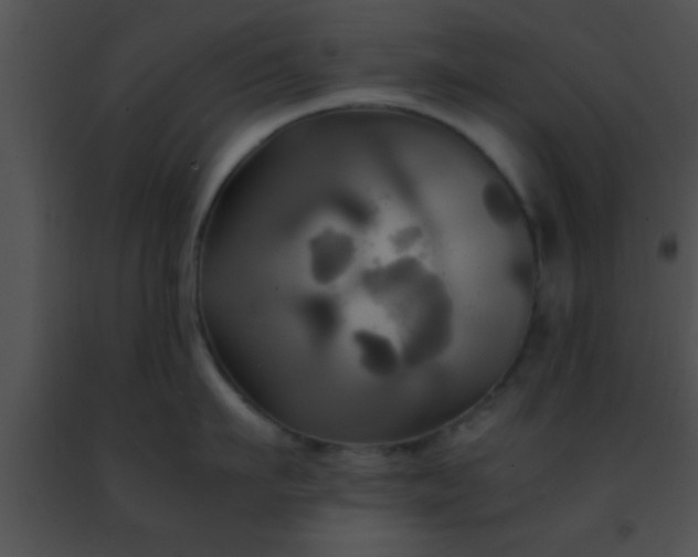 X0000091500911200708301955