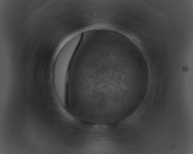 X0000091500912200708301955