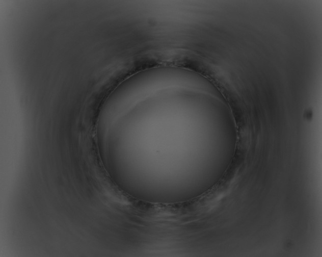 X0000091500913200708301954