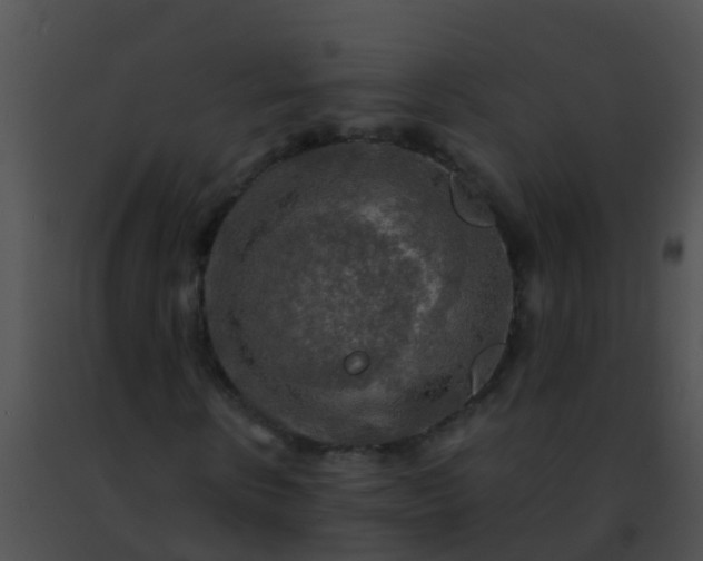 X0000091500914200708301954