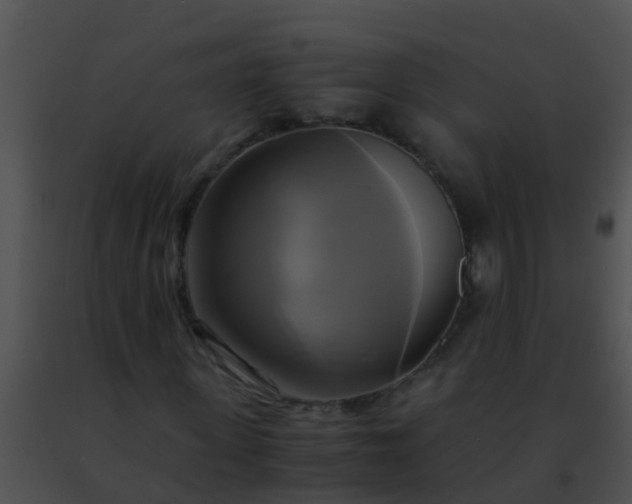 X0000091500915200708301954