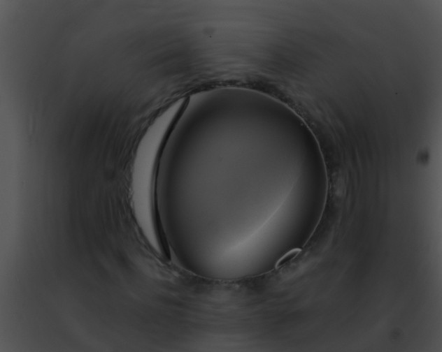 X0000091500916200708301954