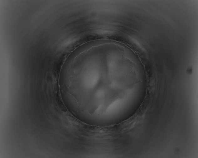 X0000091500917200708301954