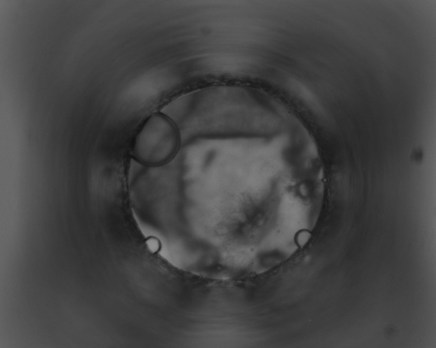 X0000091500918200708301954