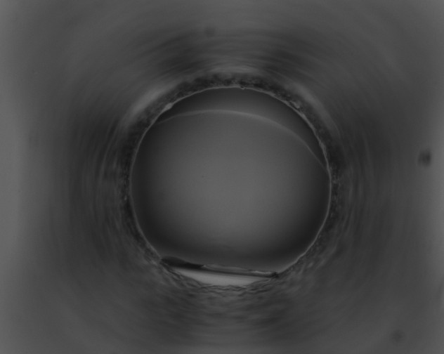 X0000091500919200708301954