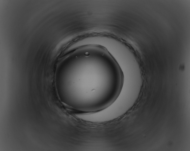 X0000091500920200708301954