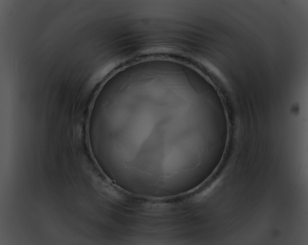 X0000091500921200708301954