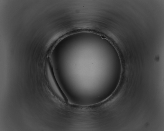 X0000091500922200708301954