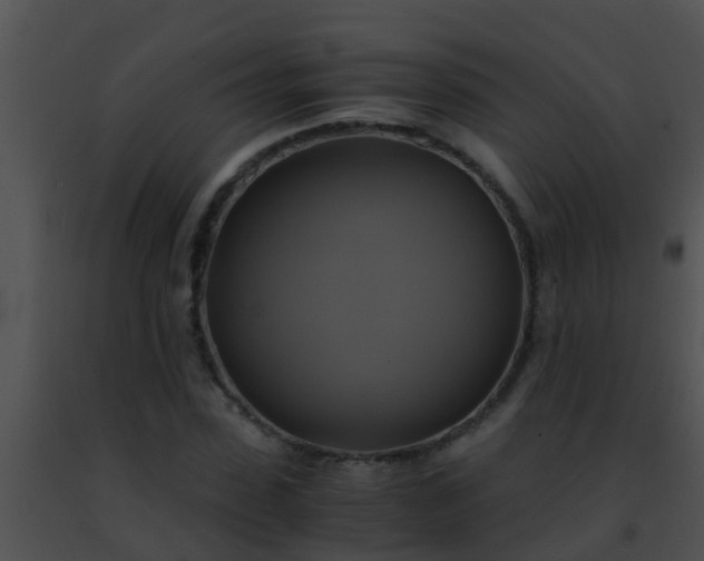 X0000091500923200708301954