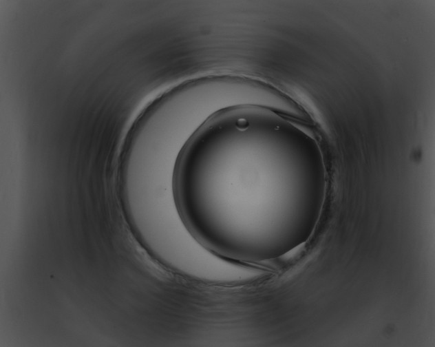 X0000091500924200708301954