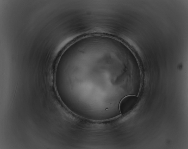 X0000091500925200708301954